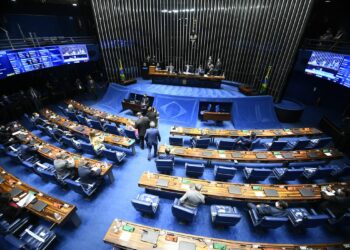 Senado. (Foto:Reprodução/Agência Brasil)