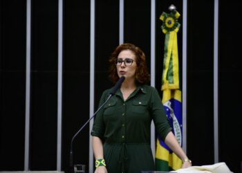 Deputada Carla Zambelli. (Foto: Reprodução/Agência Câmara de Notícias)