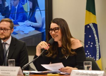 Margarete Coelho. (Foto:Reprodução/Parlamento Piauí)