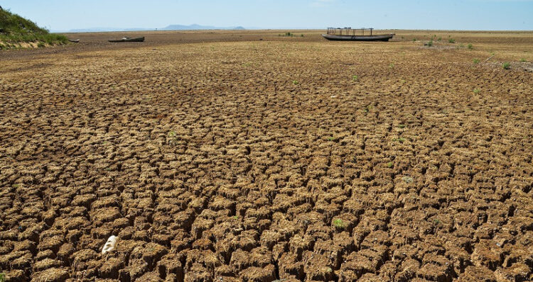 Foto: Reprodução/Agência Brasil