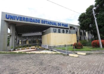 Universidade Estadual do Piauí (Foto: Reprodução)