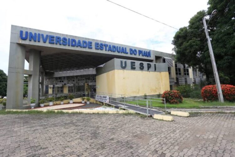 Universidade Estadual do Piauí (Foto: Reprodução)