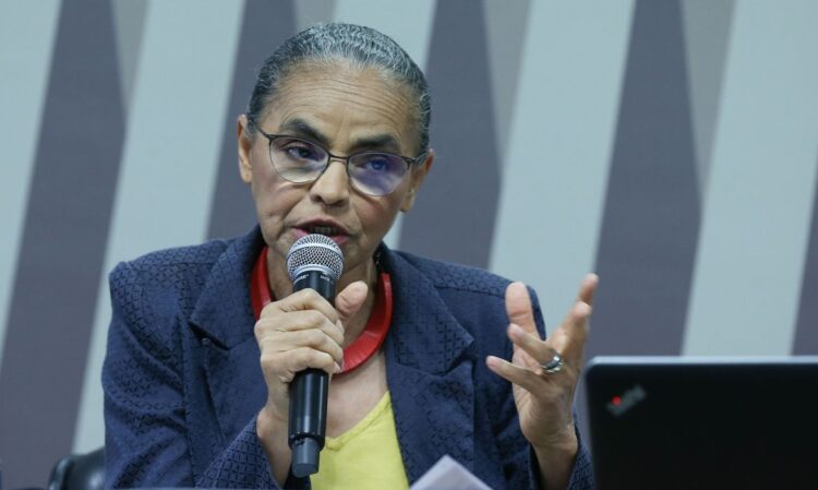 Marina Silva (Foto: Reprodução)