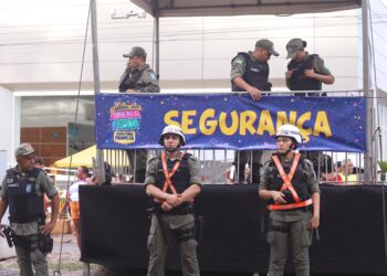 Número de furtos durante o Corso de Teresina tem redução de 56%, aponta SSP - Foto: Reprodução/PM