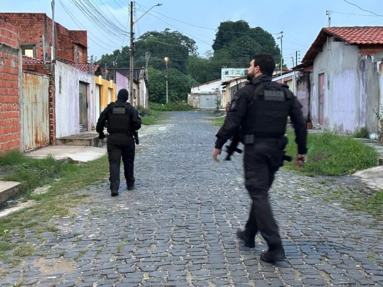 Foto: Divulgação/Policia Civil do Piauí