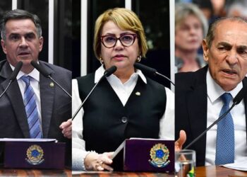 Senadores do Piauí | Foto: Jefferson Rudy/ Waldemir Barreto/ Roque de Sá