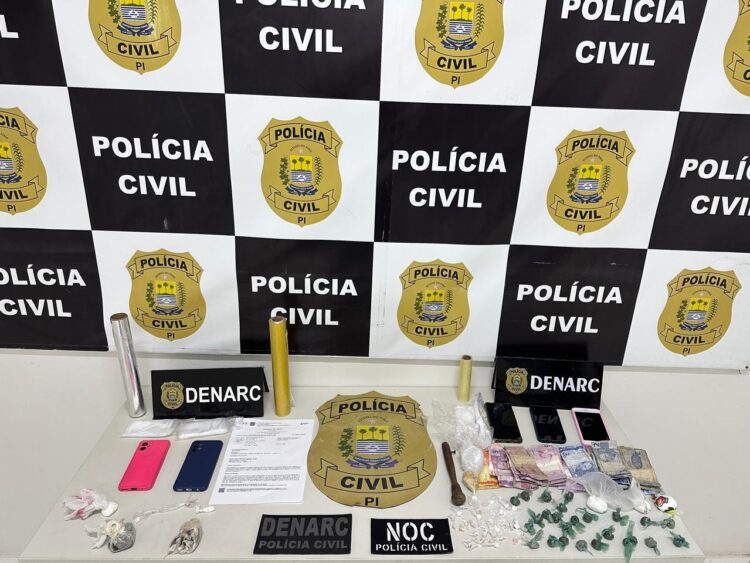 Polícia Civil cumpre 15 mandados de busca e apreensão e prende quatro pessoas por tráfico de drogas em Teresina (Foto: SSP-PI)