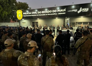 Polícia Civil deflagra "Operação Denarc 63" e cumpre 24 mandados contra tráfico em Teresina (Foto: SSP-PI)