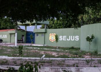 Penitenciária Irmão Guido (Foto: Reprodução)